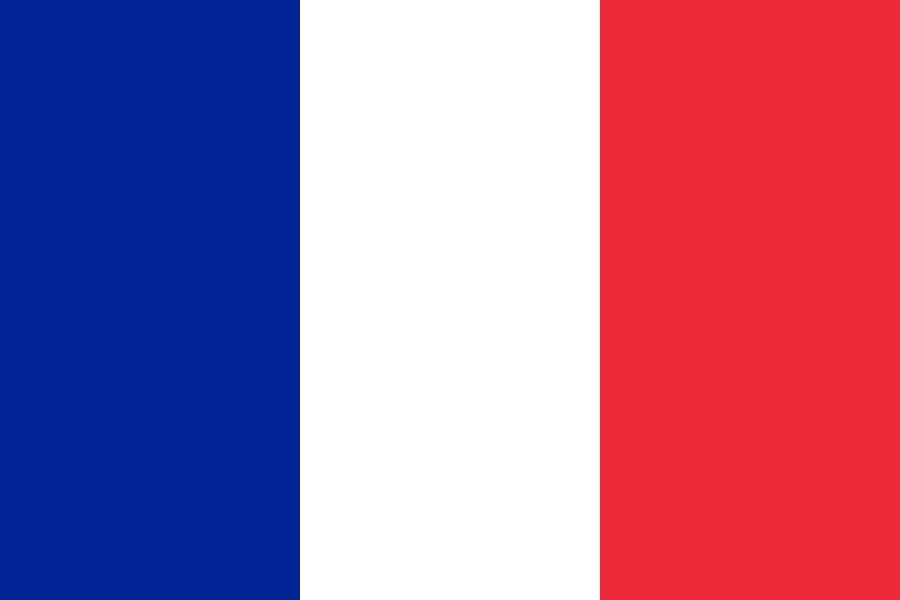Learn How To Speak French, Fast & Easy Foreign Language Training Course, DVD D93