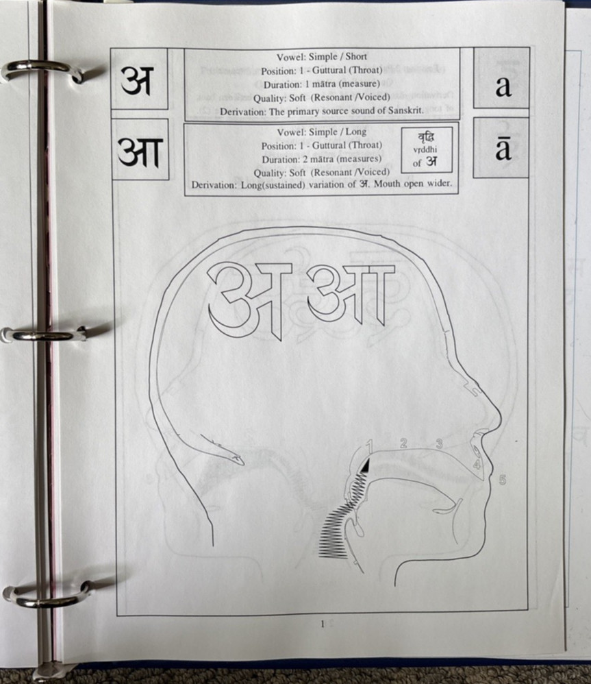 Sanskrit By CD Vyass Houston 1991