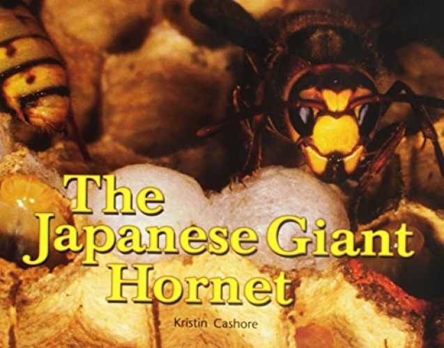 The Japanese Giant Hornet (Rigby Literacy by – Paperback, by Rigby – Very Good