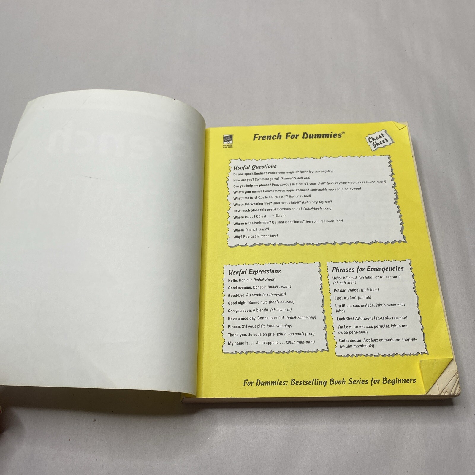 French for Dummies by Michelle M. Williams, Dodi-Katrin Schmidt and Dominique…