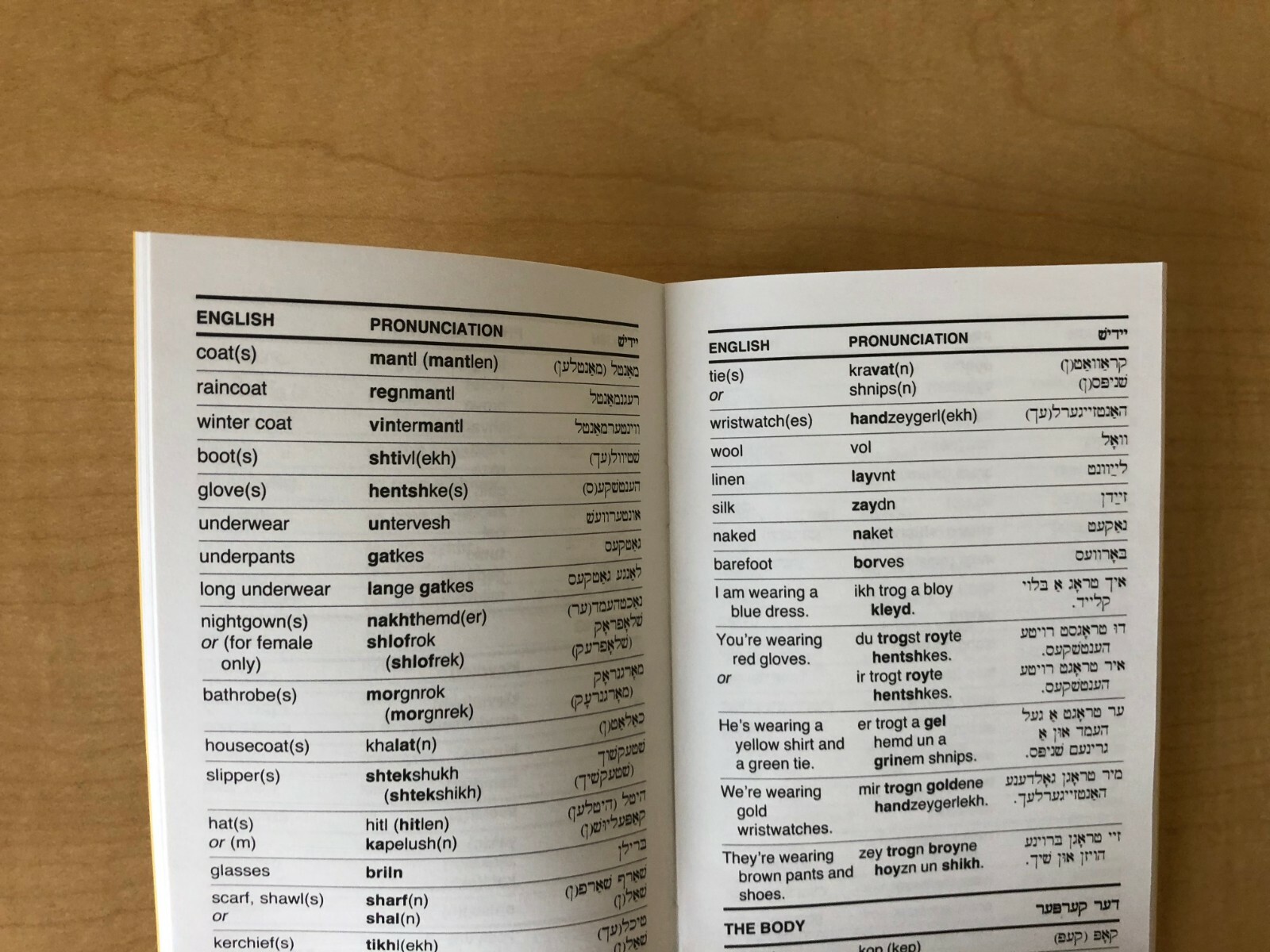 HUGE LOT of 31 Foreign Language Pocket-Size Phrase Books – by LANGUAGE/30