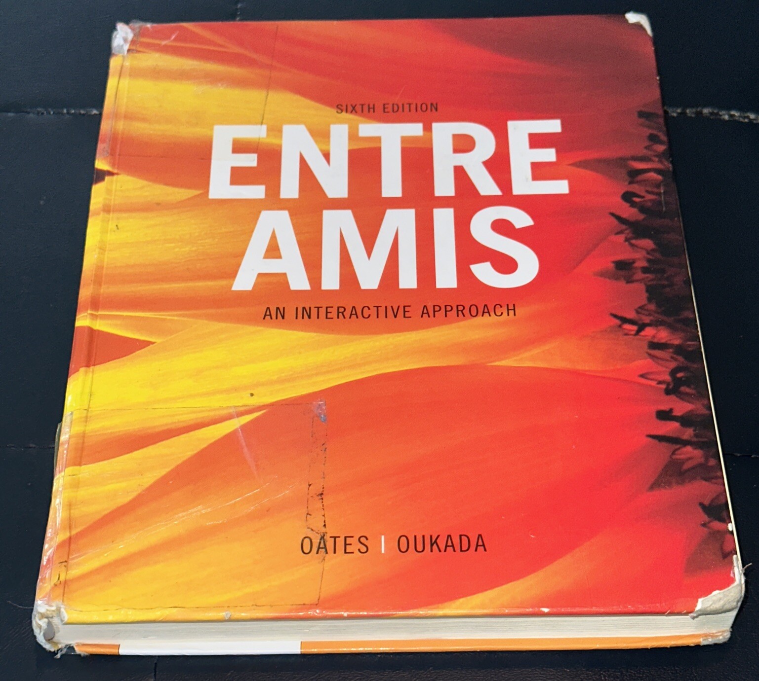 World Languages Ser.: Entre Amis by Larbi Oukada and Michael Oates (2012,…