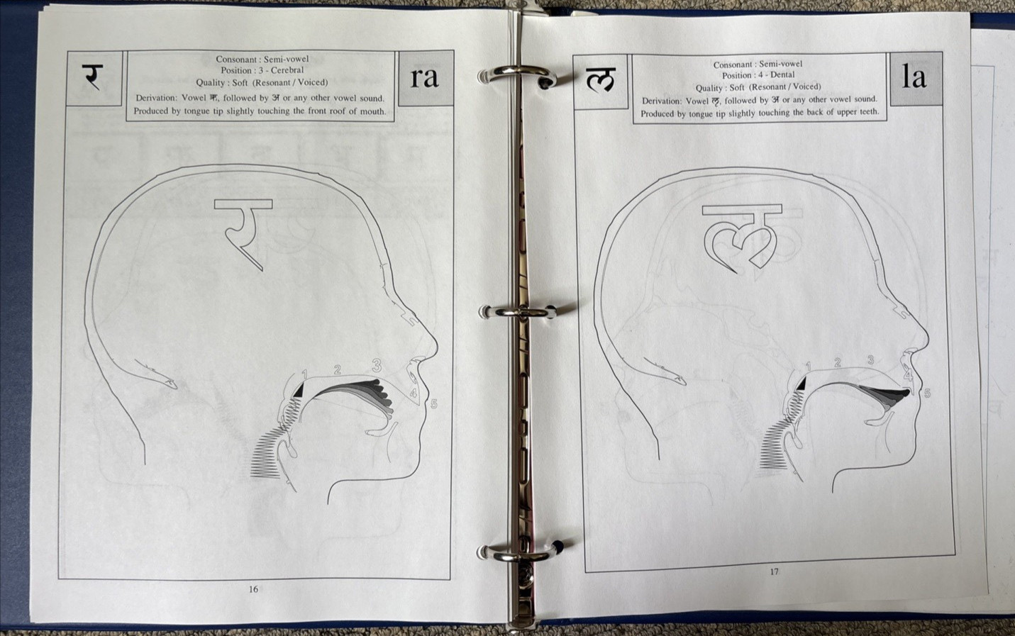 Sanskrit By CD Vyass Houston 1991