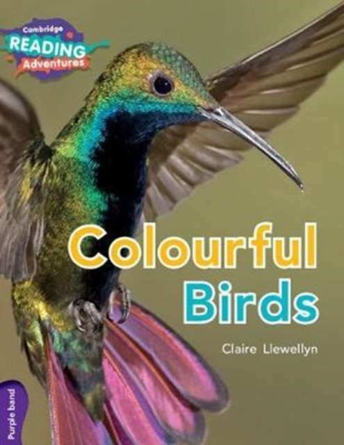 Colourful Birds, Purple Band by Claire Llewellyn (Paperback Book)