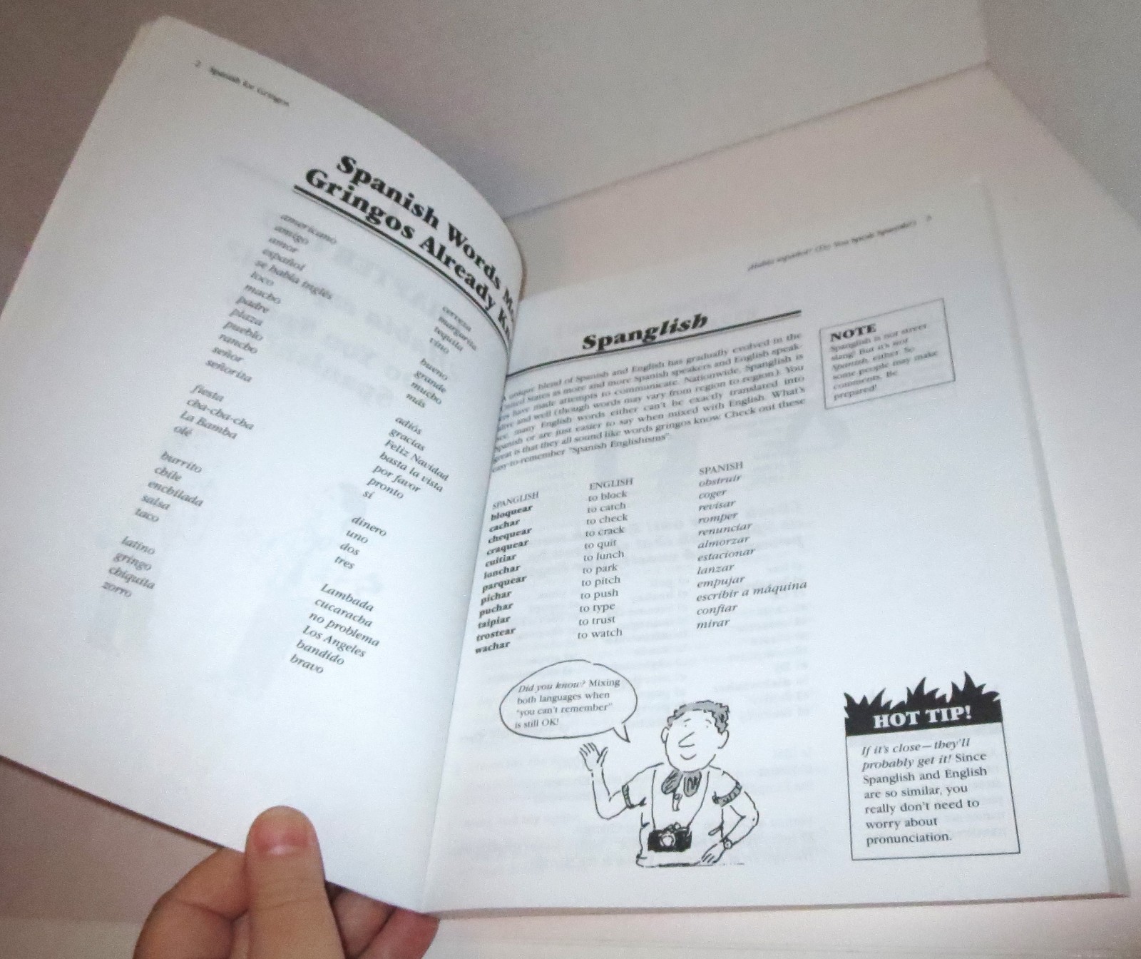 Spanish For Gringos Book W/ Cassette Tapes & Children’s Living Spanish Picture
