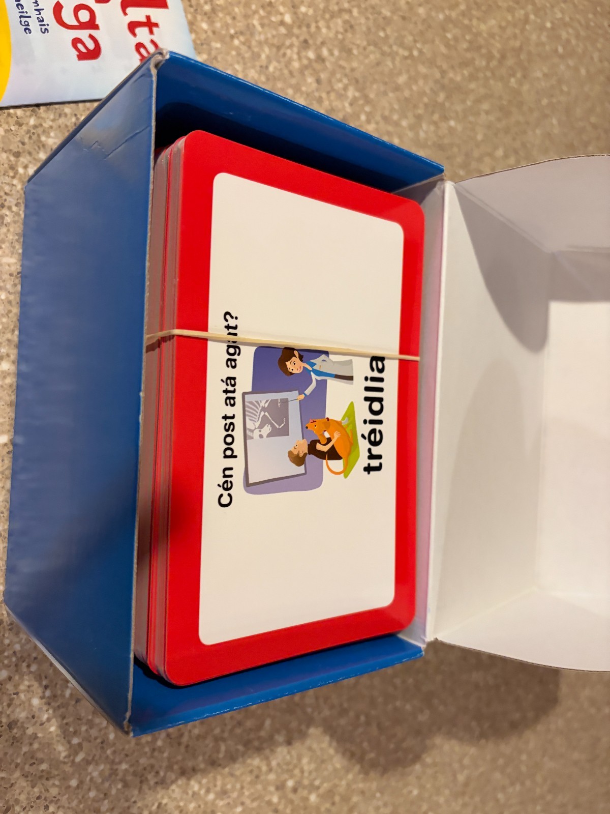 Realta an Ran Gaelic Language Study Cards (Language Flash Cards)