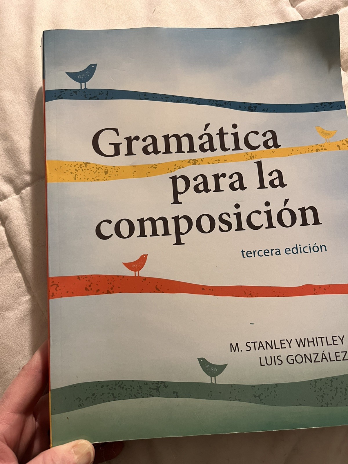Gramatica Por La Composicion Spanish Textbook paperback EUC