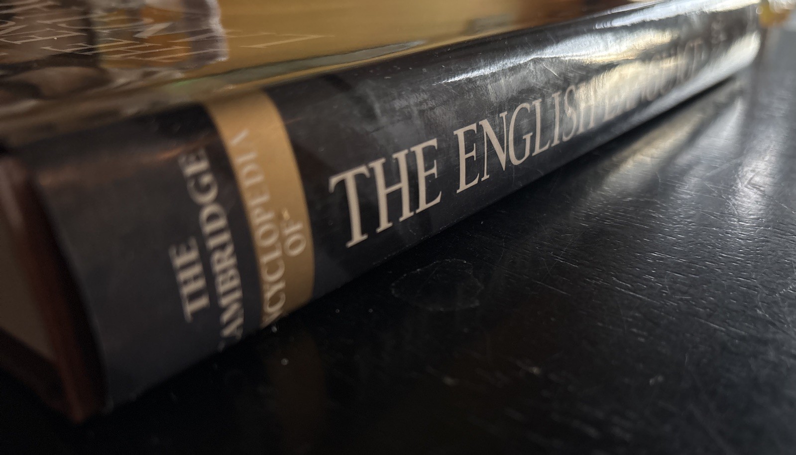 The Cambridge Encyclopedia of the English Language By David Cry Hardcover HCDJ