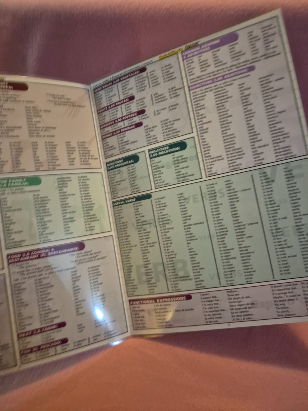 Spanish Vocabulary Quizzer by Liliane Arnet (2011, Book, Other)