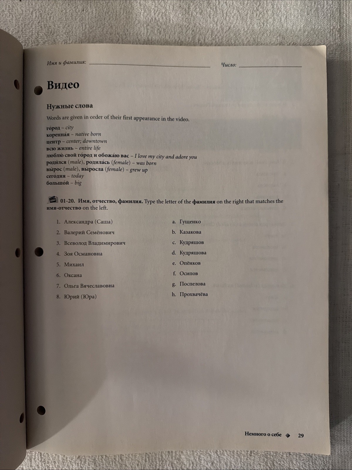Student Activities Manual for Golosa A Basic Course in Russian 5th Ed. *UNUSED*