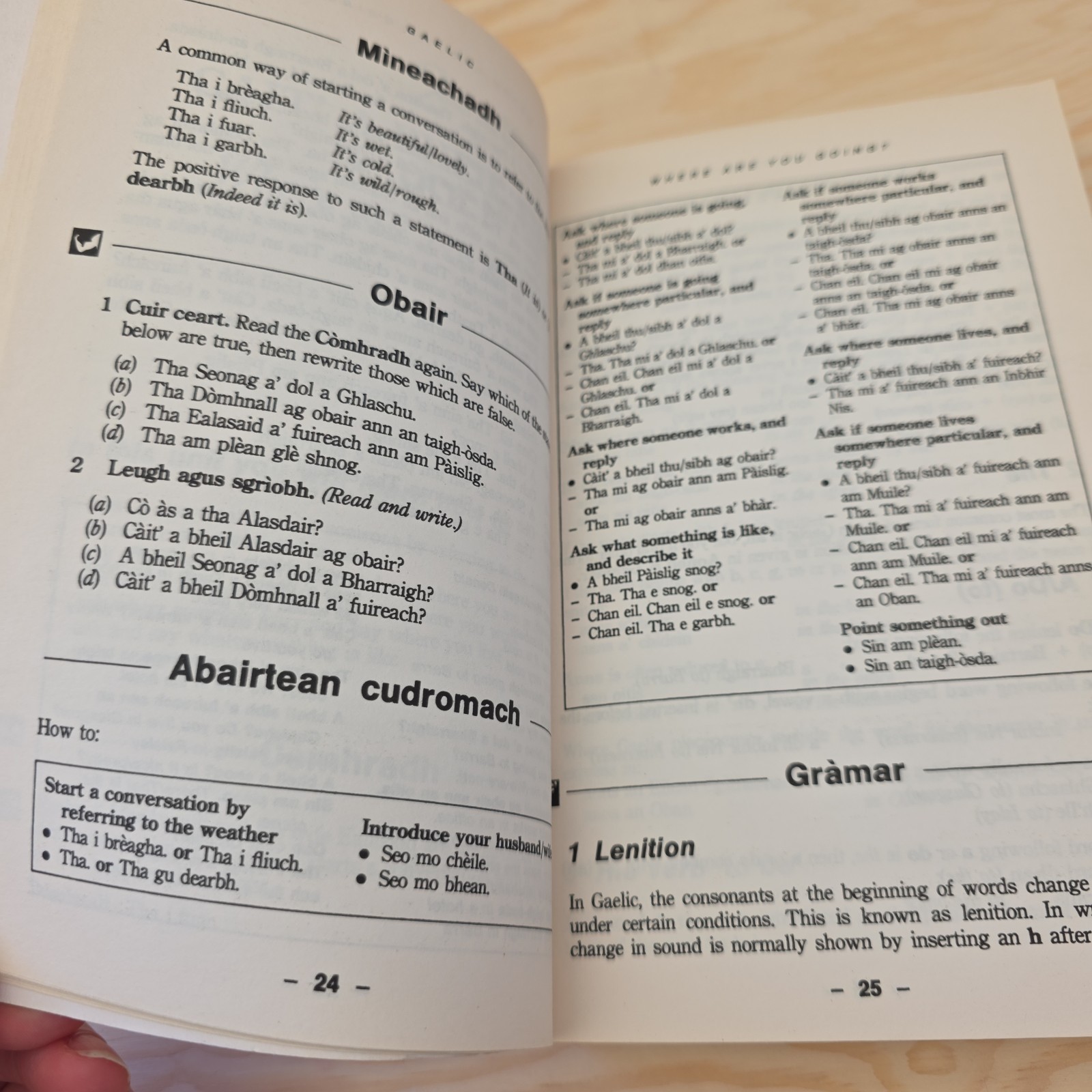 Teach Yourself Ser.: Gaelic Complete Course by Iain Taylor and Boyd Robertson…