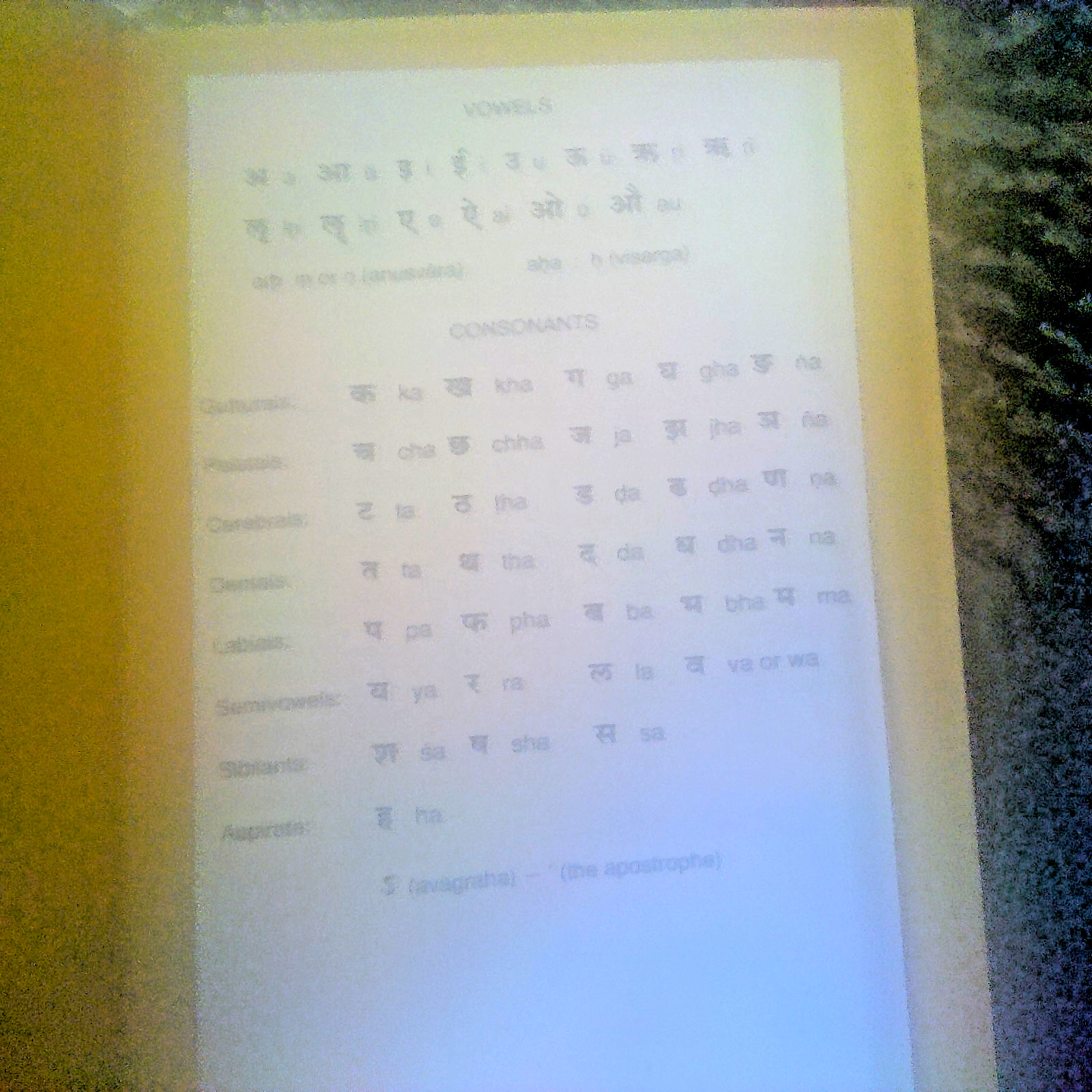 SANSKRIT FIRST LESSONS:Grammar&Reading BRAND NEW HB & DJ 250 Pages SEE MY PHOTOS