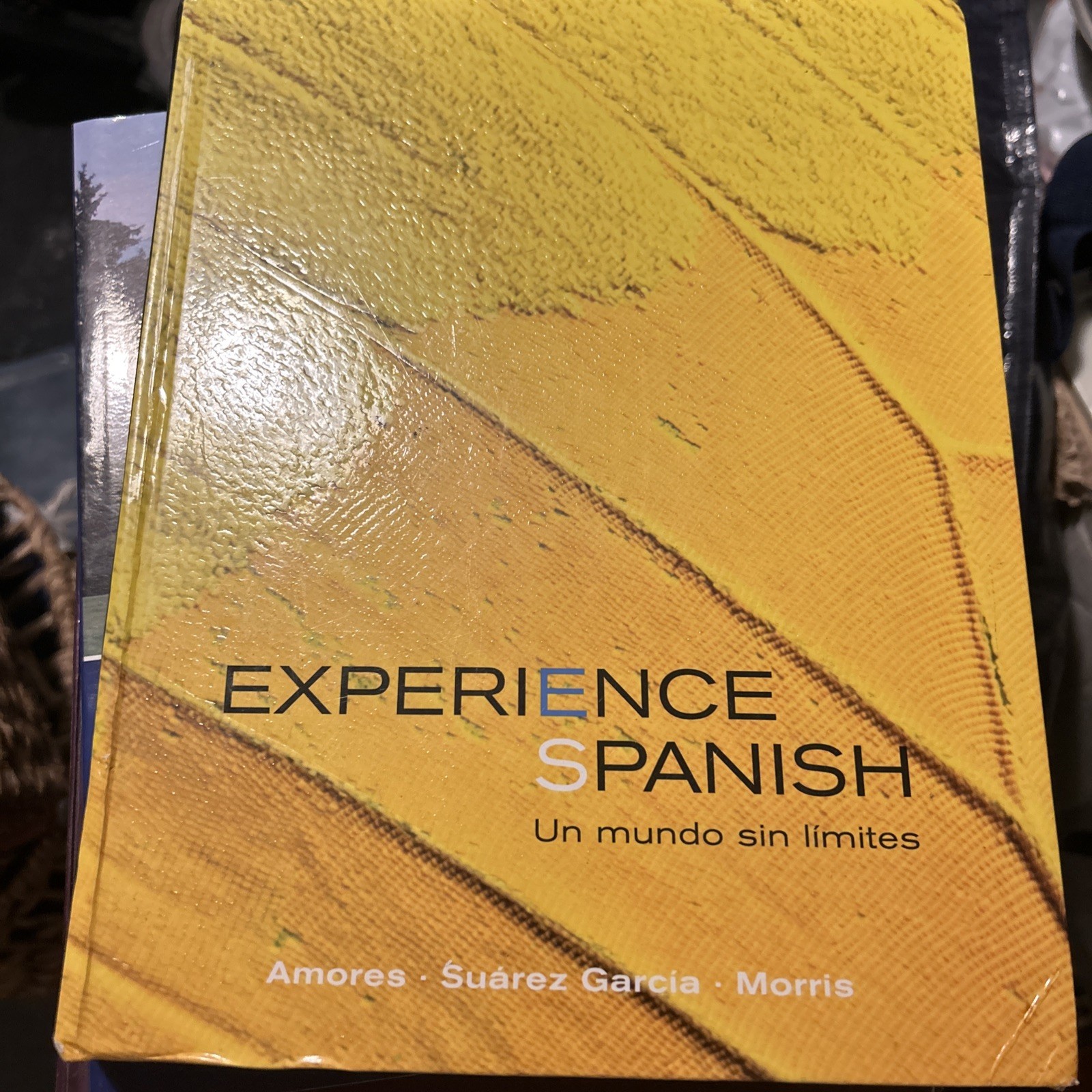 Experience Spanish by José Luis Suárez García, María Amores and Michael Morris