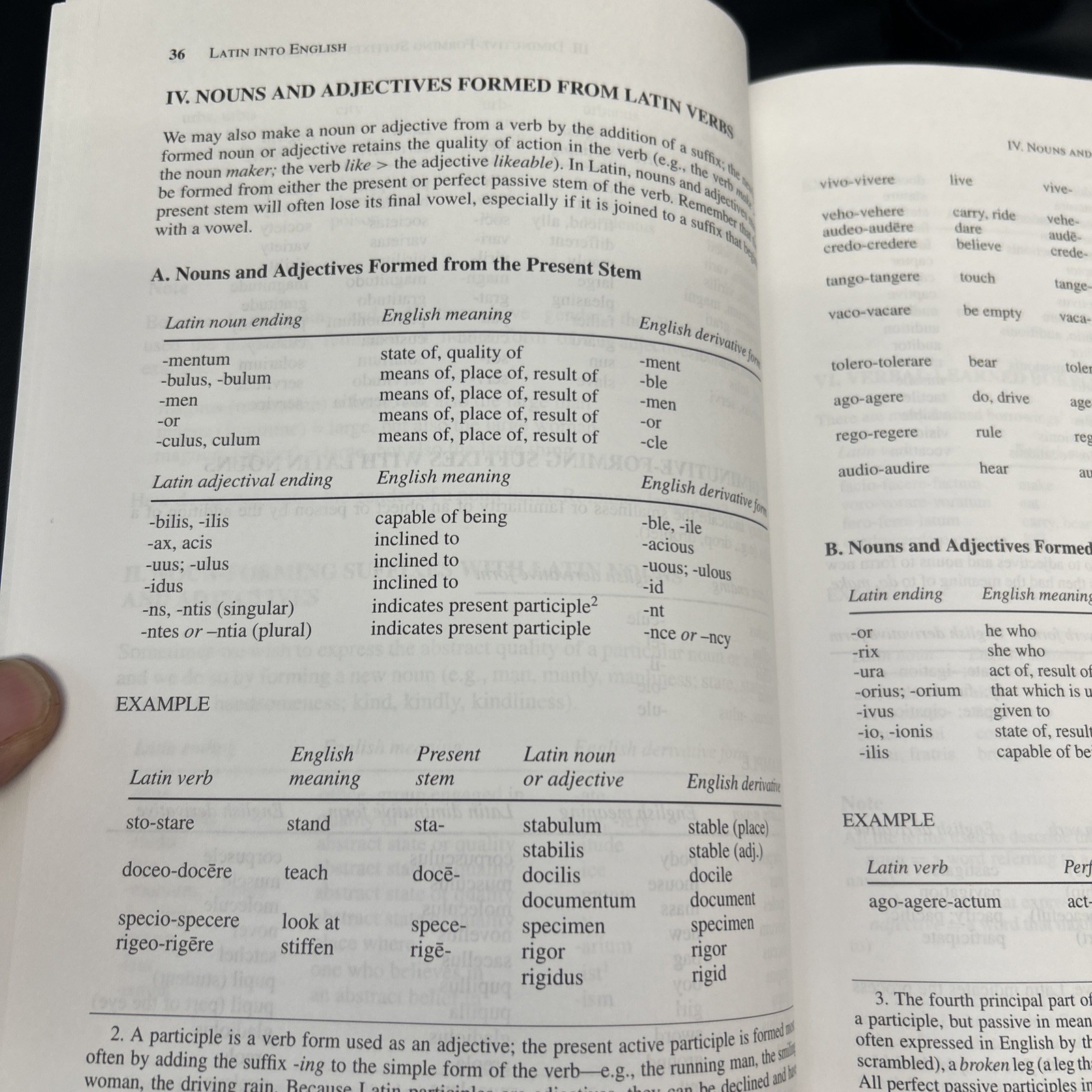 The Greek & Latin Roots of English by Tamara M. Green