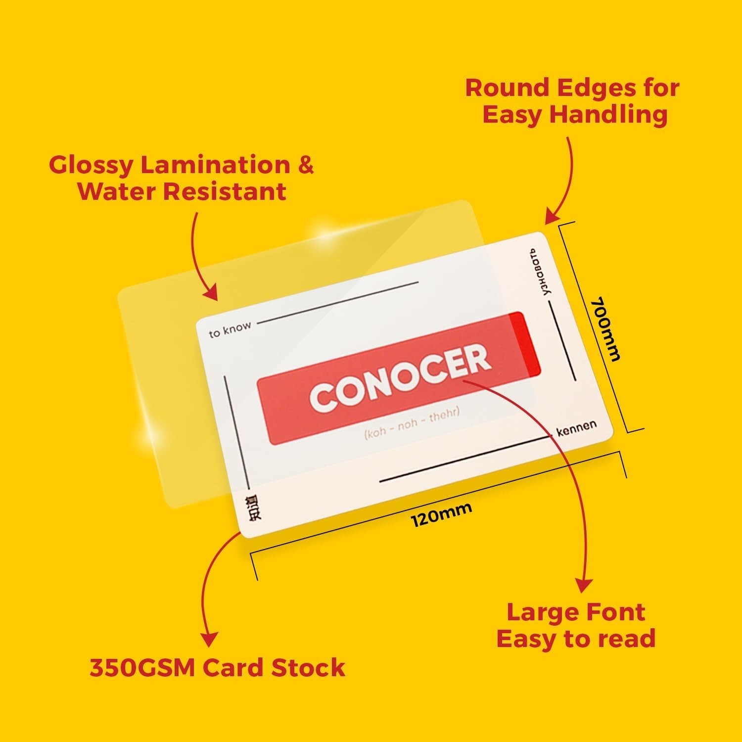 Spanish Verb Flashcards 200+ with Conjugation Practice and Digital Workbook