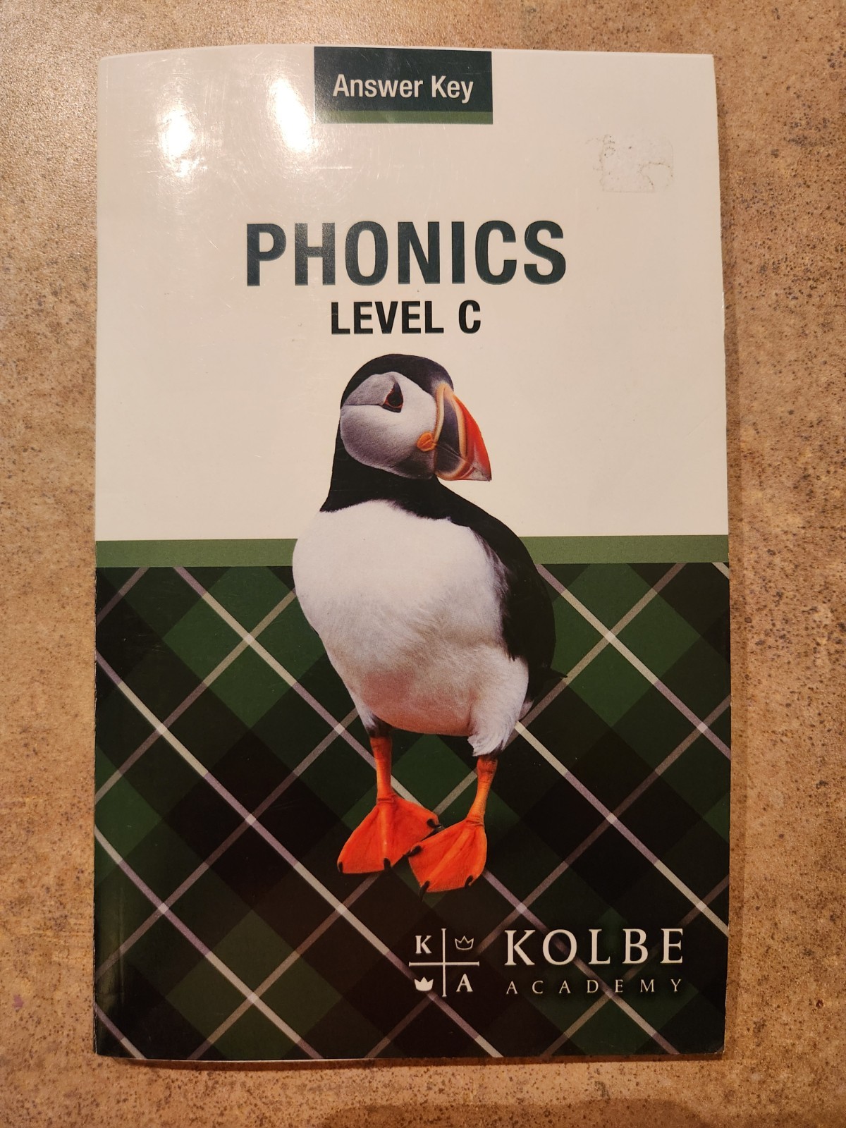 Modern Curriculum Press Phonics Level C Teacher Guide