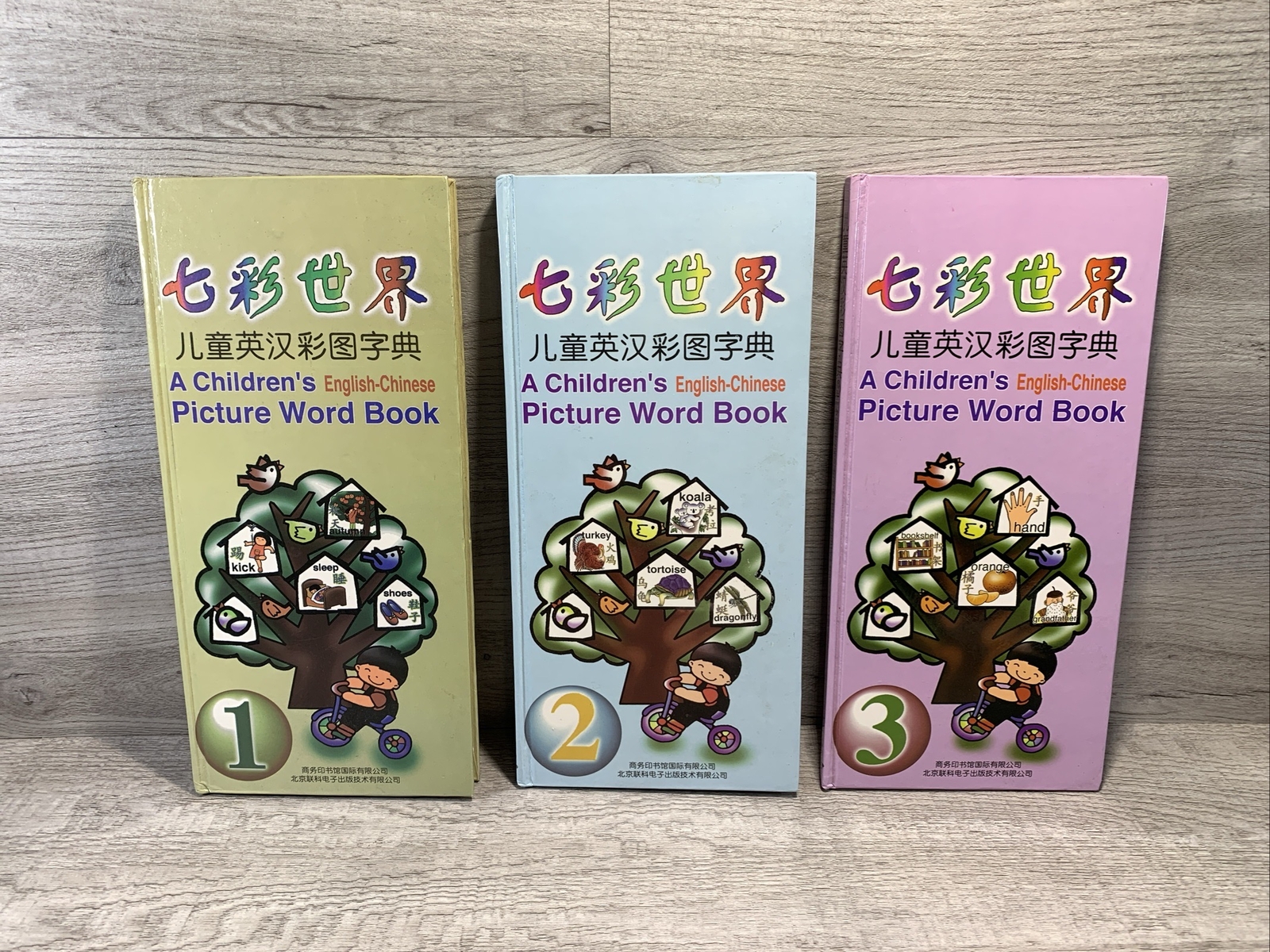 A Childrens English-Chinese Picture Word Book 3 Book Set Hardcover EUC!