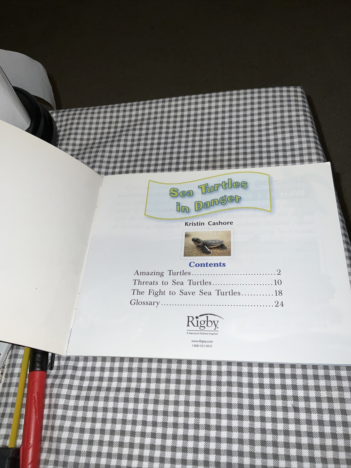Sea Turtles in Danger By Kristin Cashore 2008 1st Edition Like New