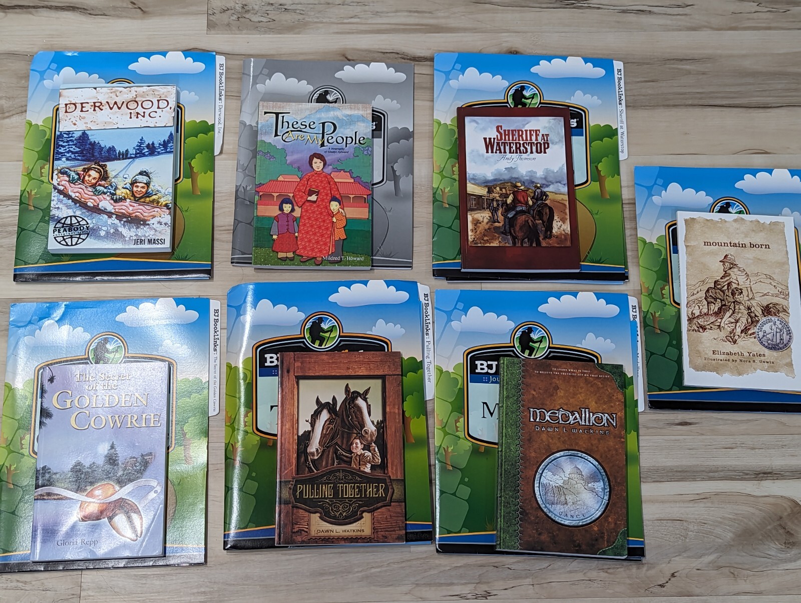 BJU Press Journey Into Literature Booklinks