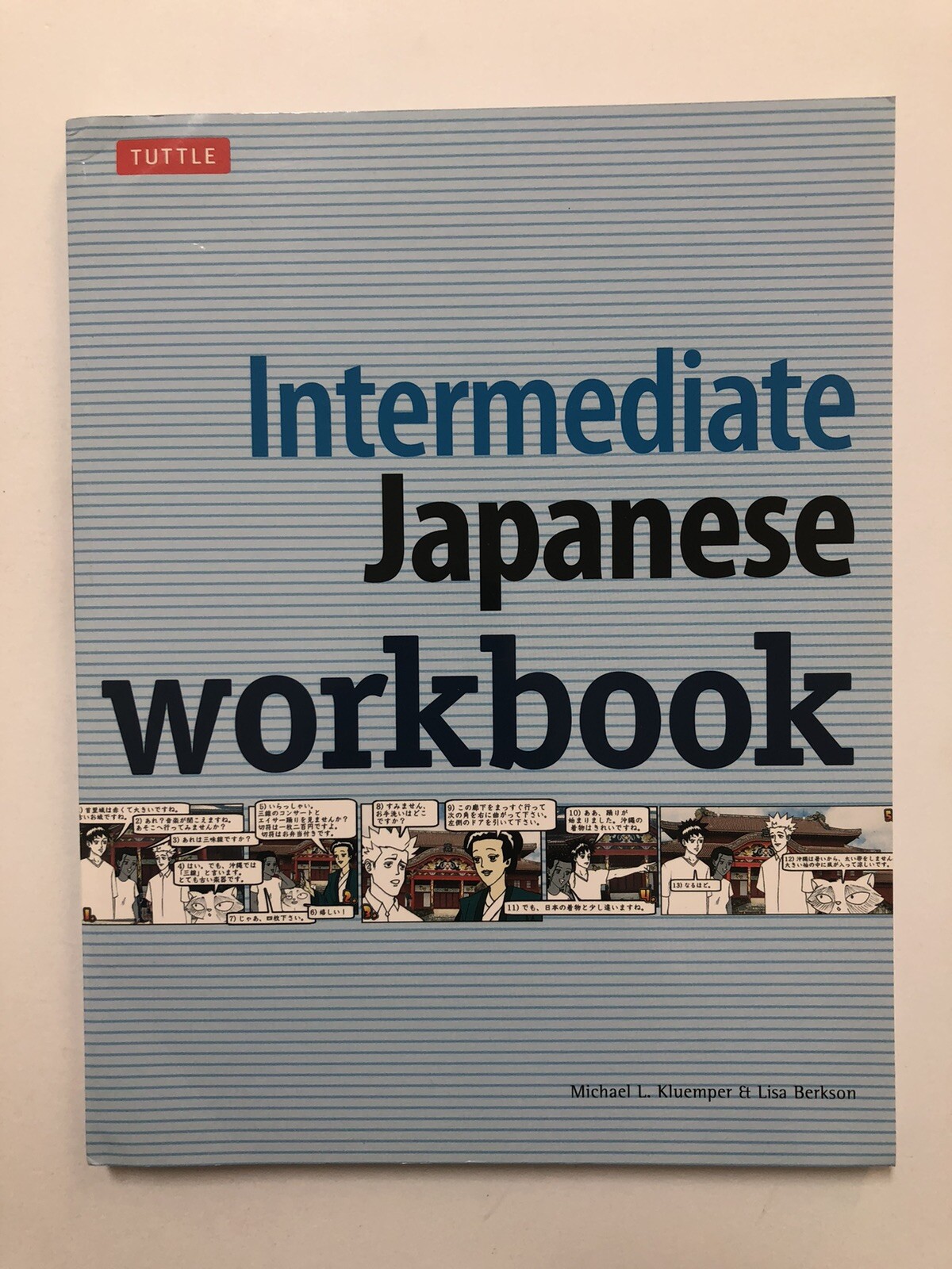 Intermediate Japanese Workbook by Kluemper & Berkson (2011, Paperback)