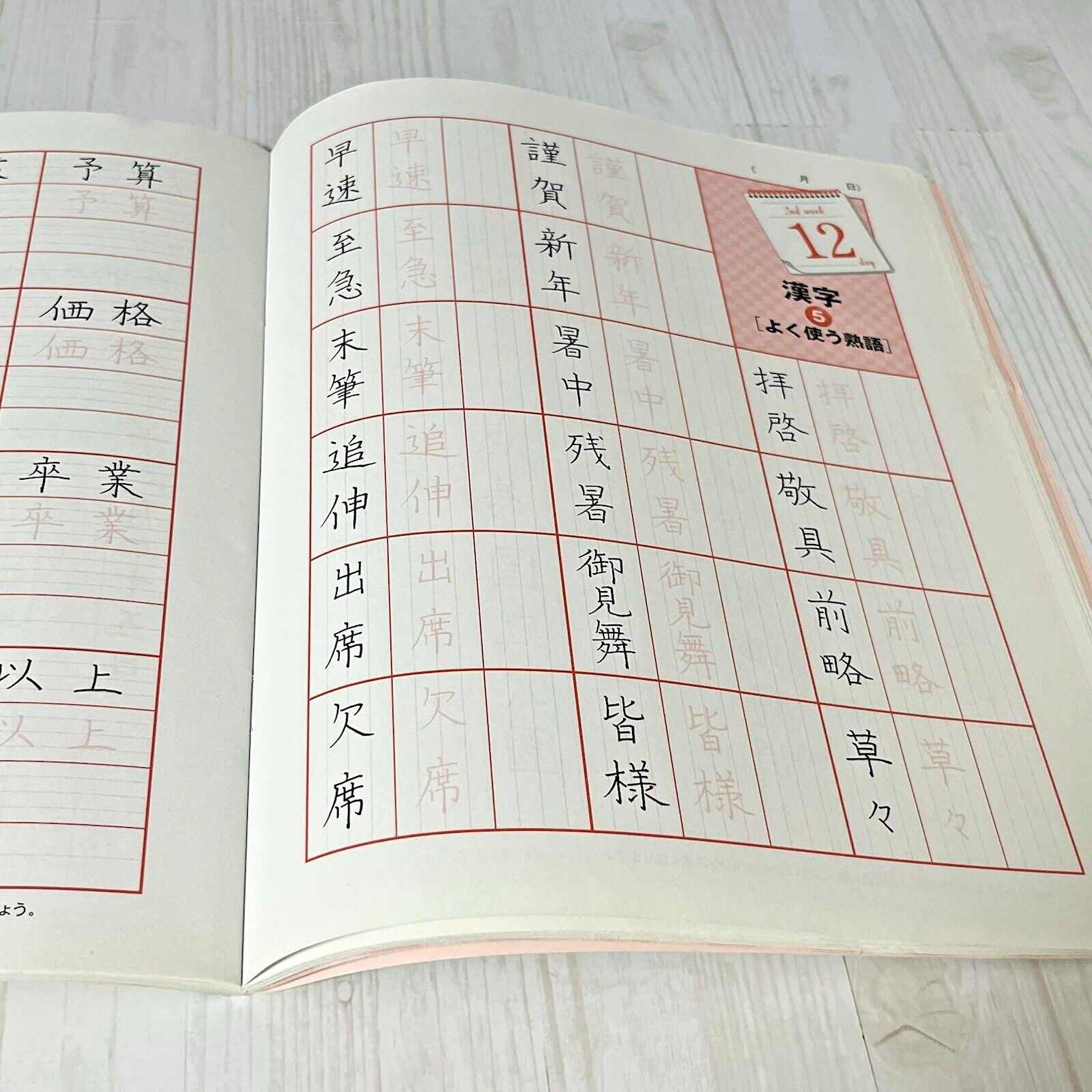 Learn Japanese Handwriting 30 Days Workbook Suito Nakatsuka Penmanship Practice