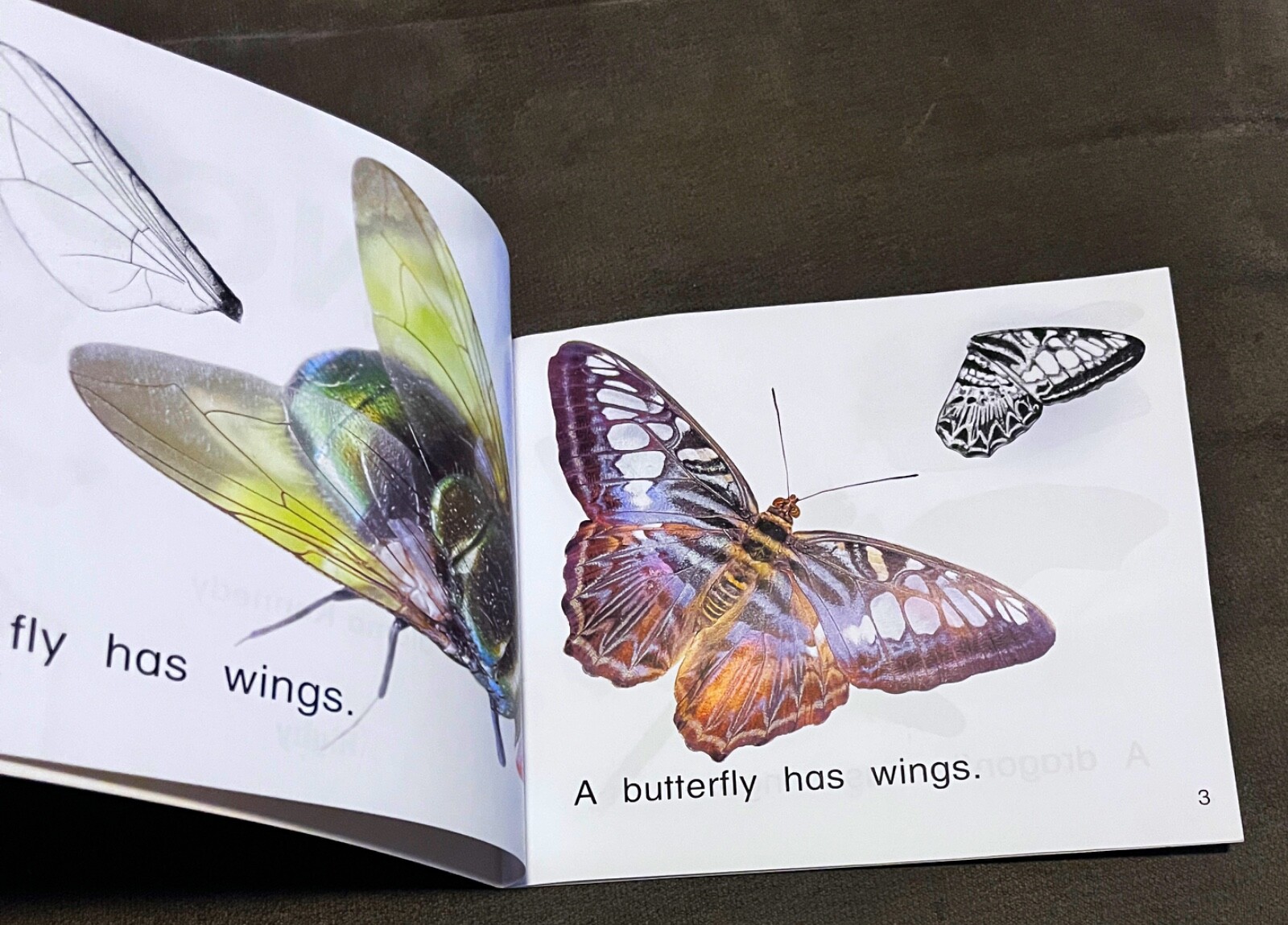 Rigby Literacy Emergent WINGS Reading Level 1/F&P Level A Paloma Kennedy Ex-Lib