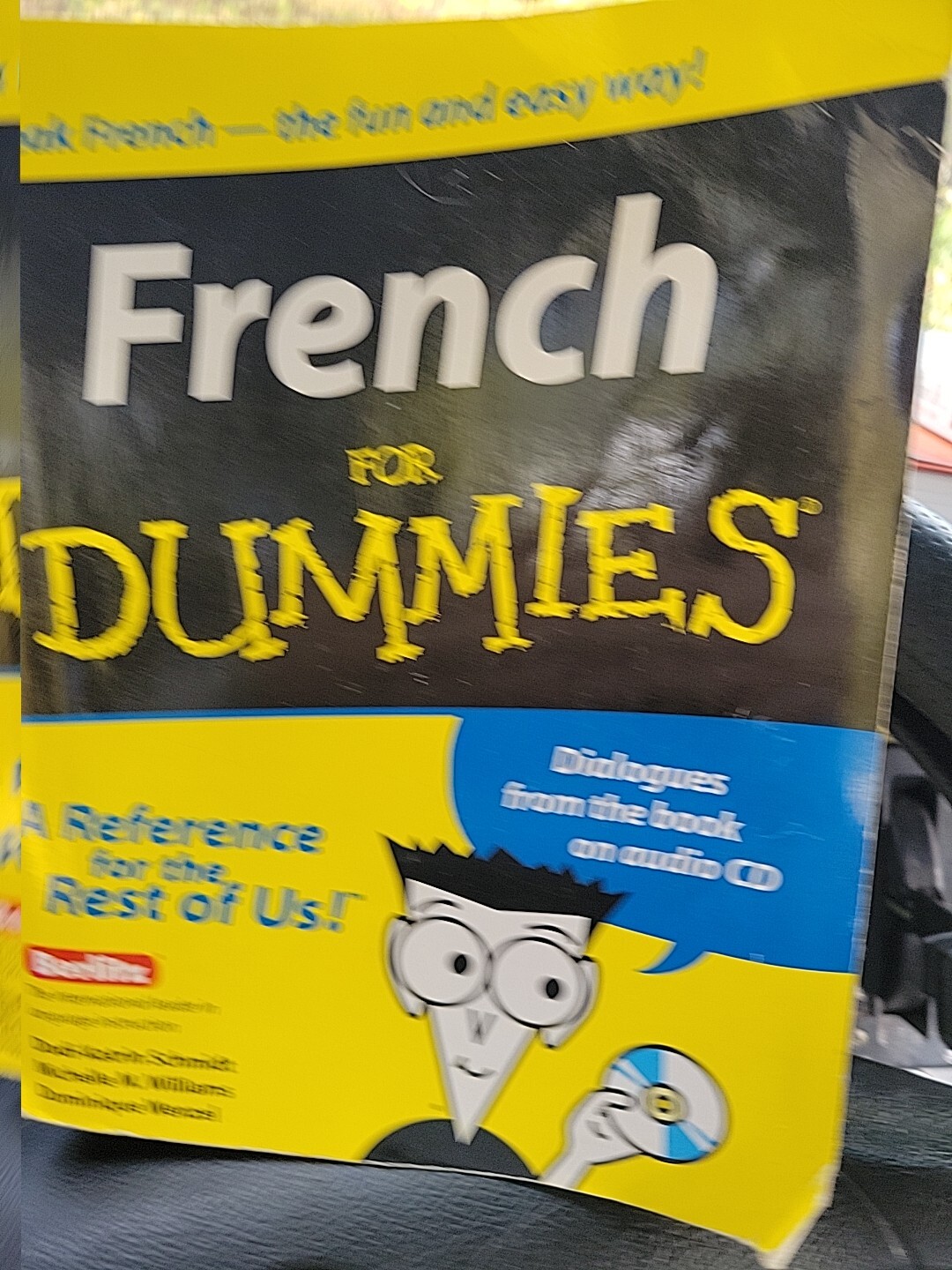 French for Dummies by Michelle M. Williams, Dodi-Katrin Schmidt and Dominique.