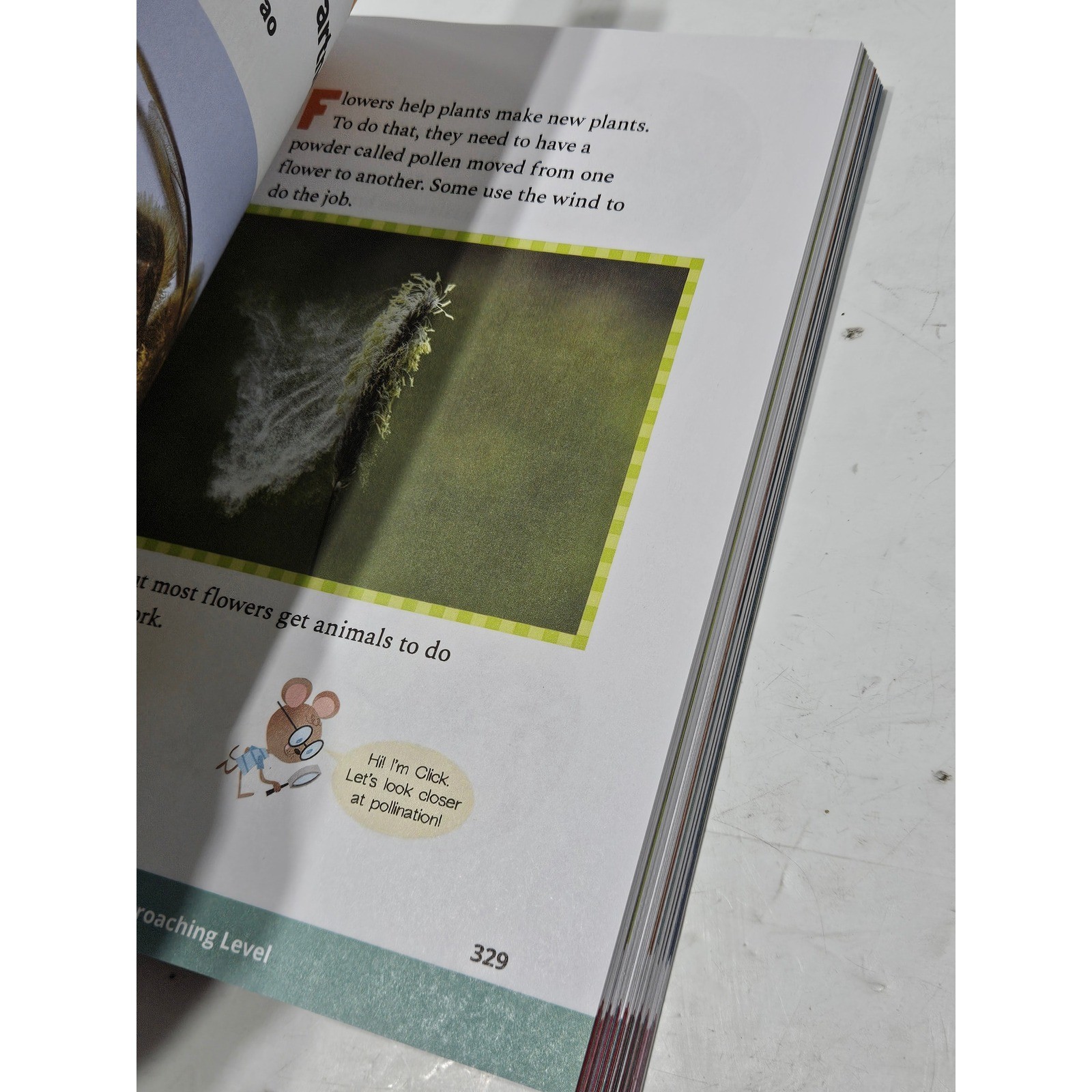 Connections Academy English Language Arts Leveled Readers 3 by Pearson