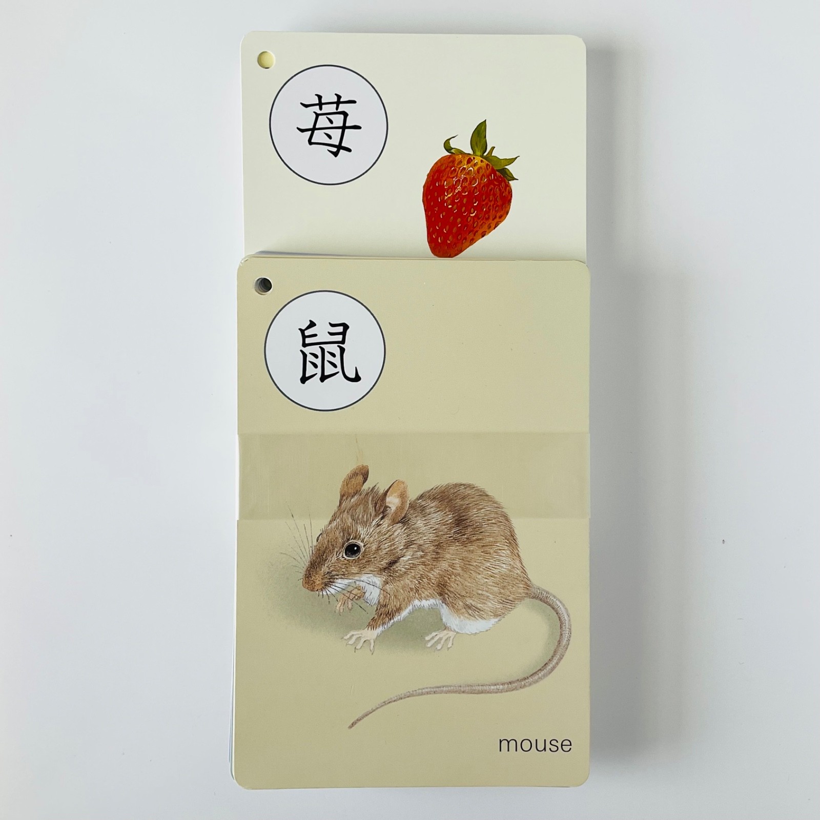 Kumon Kanji Cards Volume 2 – Contains 40 Educational Flashcards Japan Age 0 & Up
