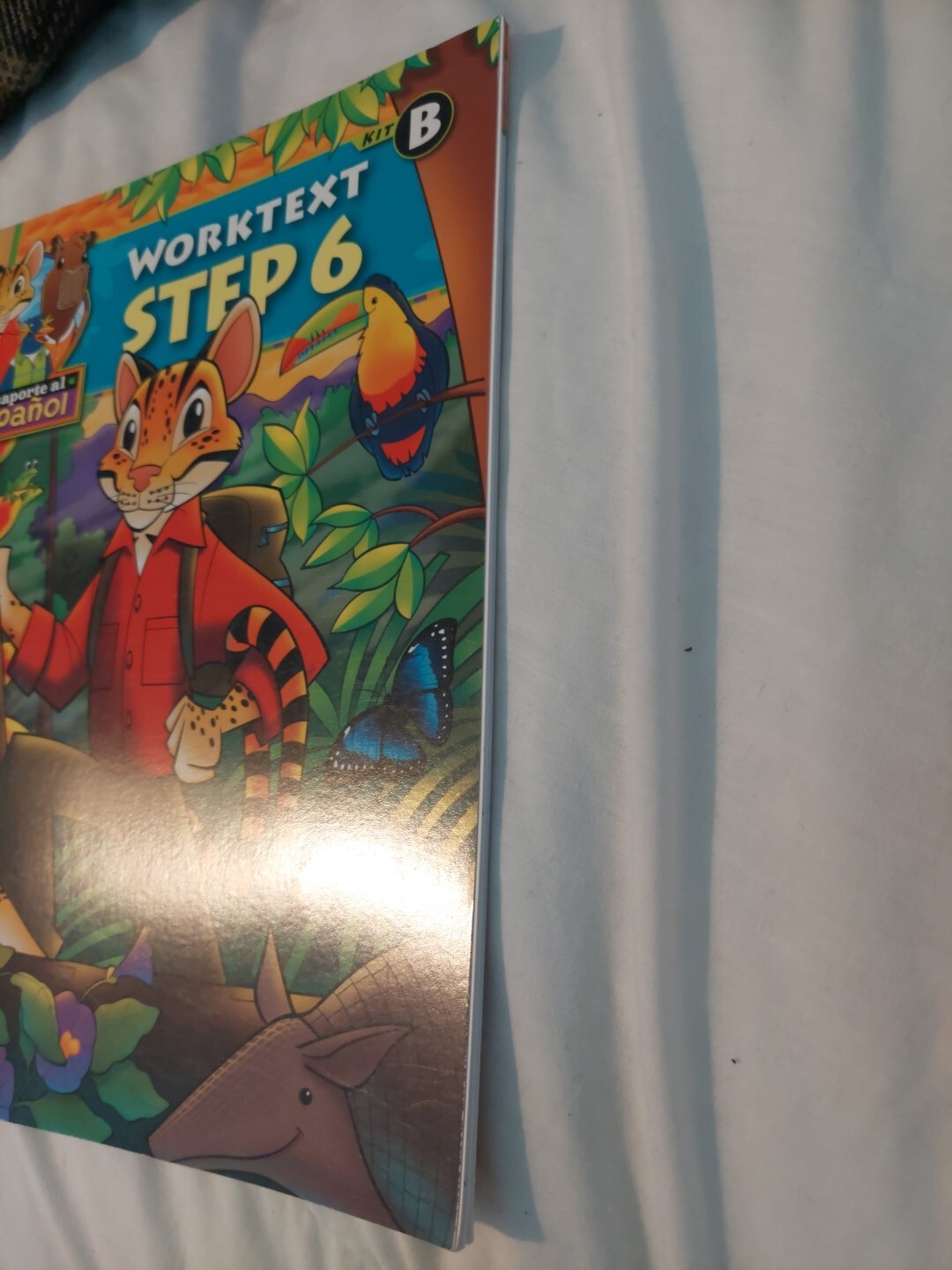 Bob Jones Elementary Spanish- Pasaporte al Español Worktext Step 6 (Kit B) NEW