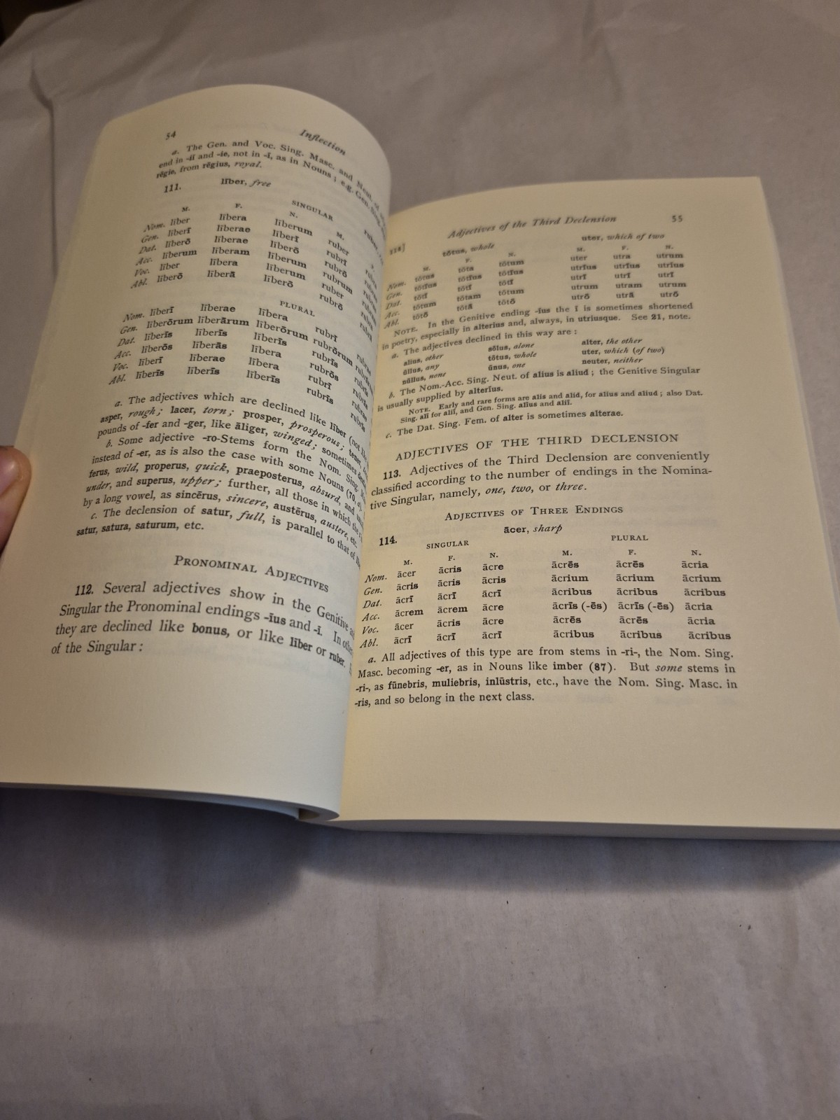A Latin Grammar by Carl Darling Buck and William Gardner Hale TPB Language