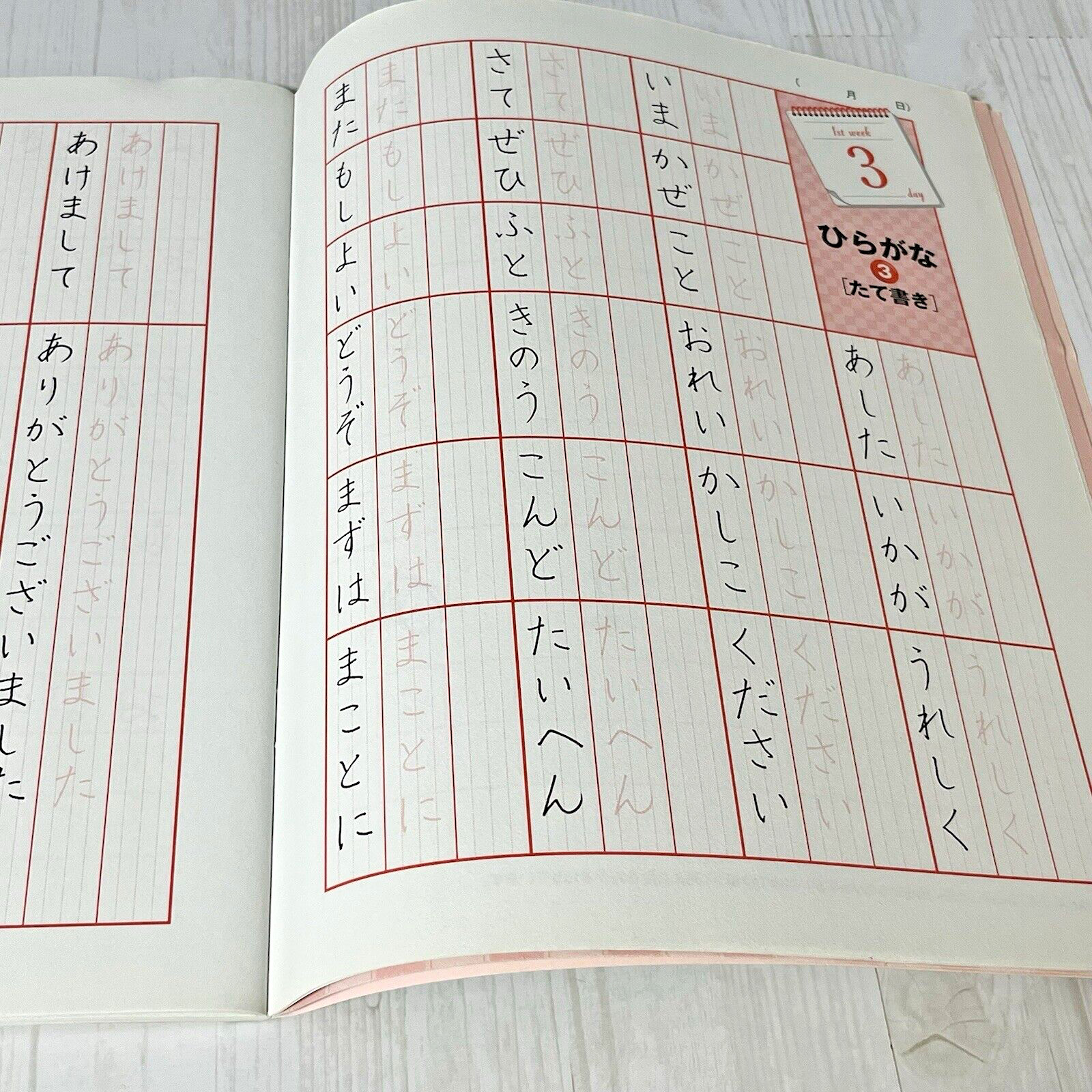 Learn Japanese Handwriting 30 Days Workbook Suito Nakatsuka Penmanship Practice