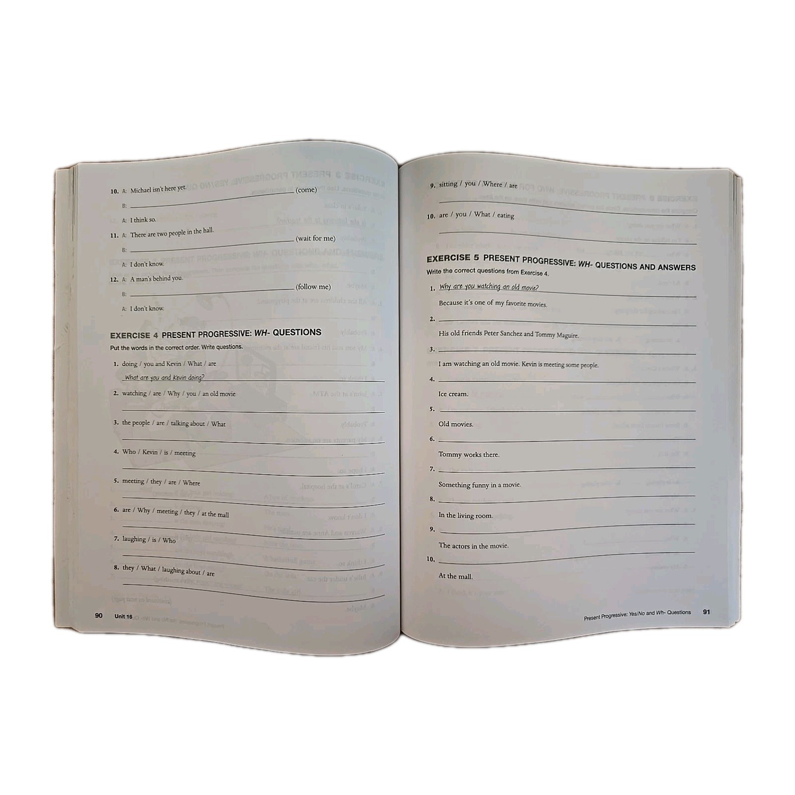 Focus on Grammar Level 2 Workbook by Irene Schoenberg 2017 Trade Paperback