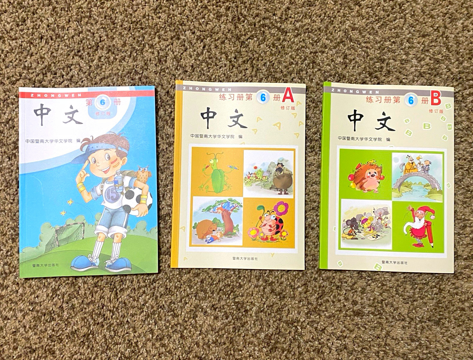 ZHONGWEN 中文 Vol. 6 Revised Edition Workbook Set 6A & 6B