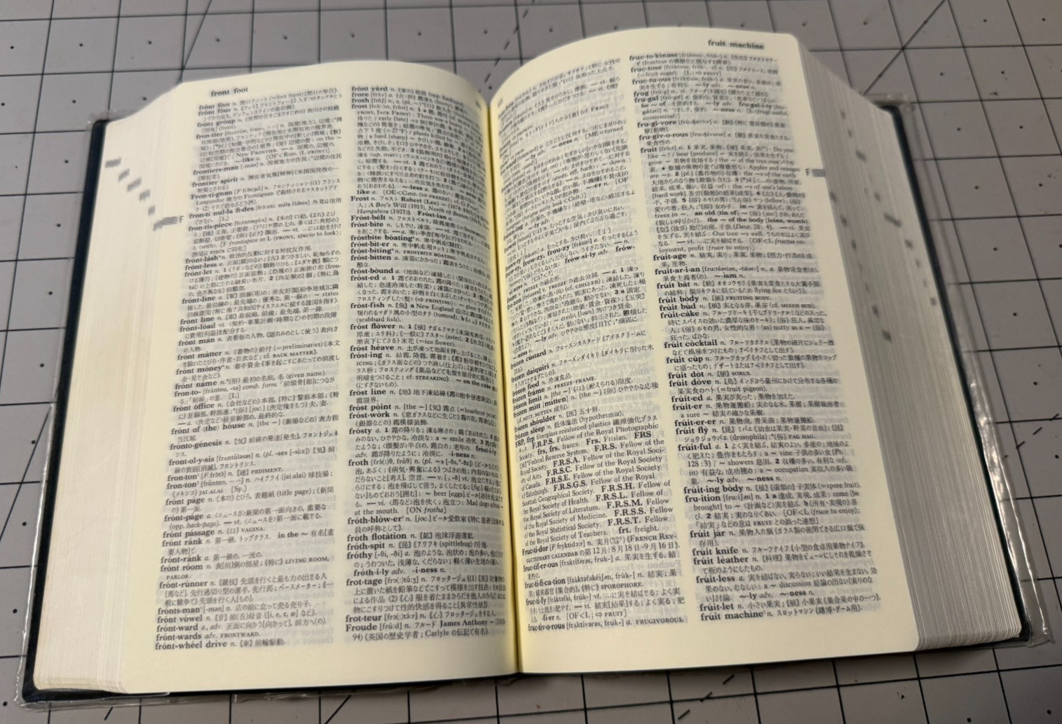 Kenkyusha’s English-Japanese Dictionary for the General Reader リーダーズ英和辞典