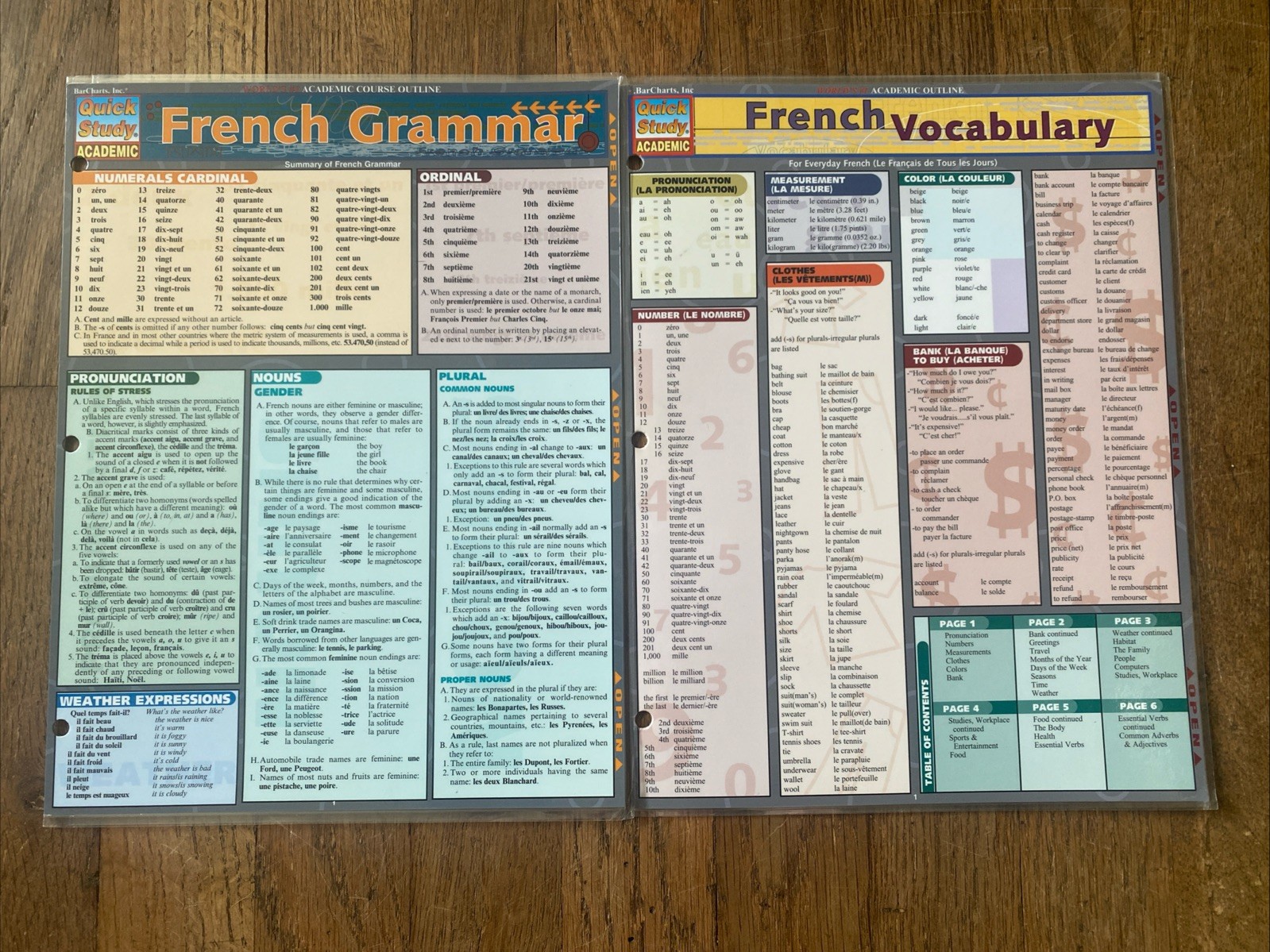 Quick Study Guide Academic-French Grammar And French Vocabulary- Lot