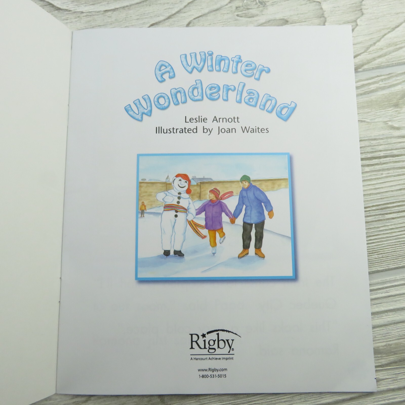 Rigby – A Winter Wonderland, by Leslie Arnott – Reading Level H – Lot of 8 Books