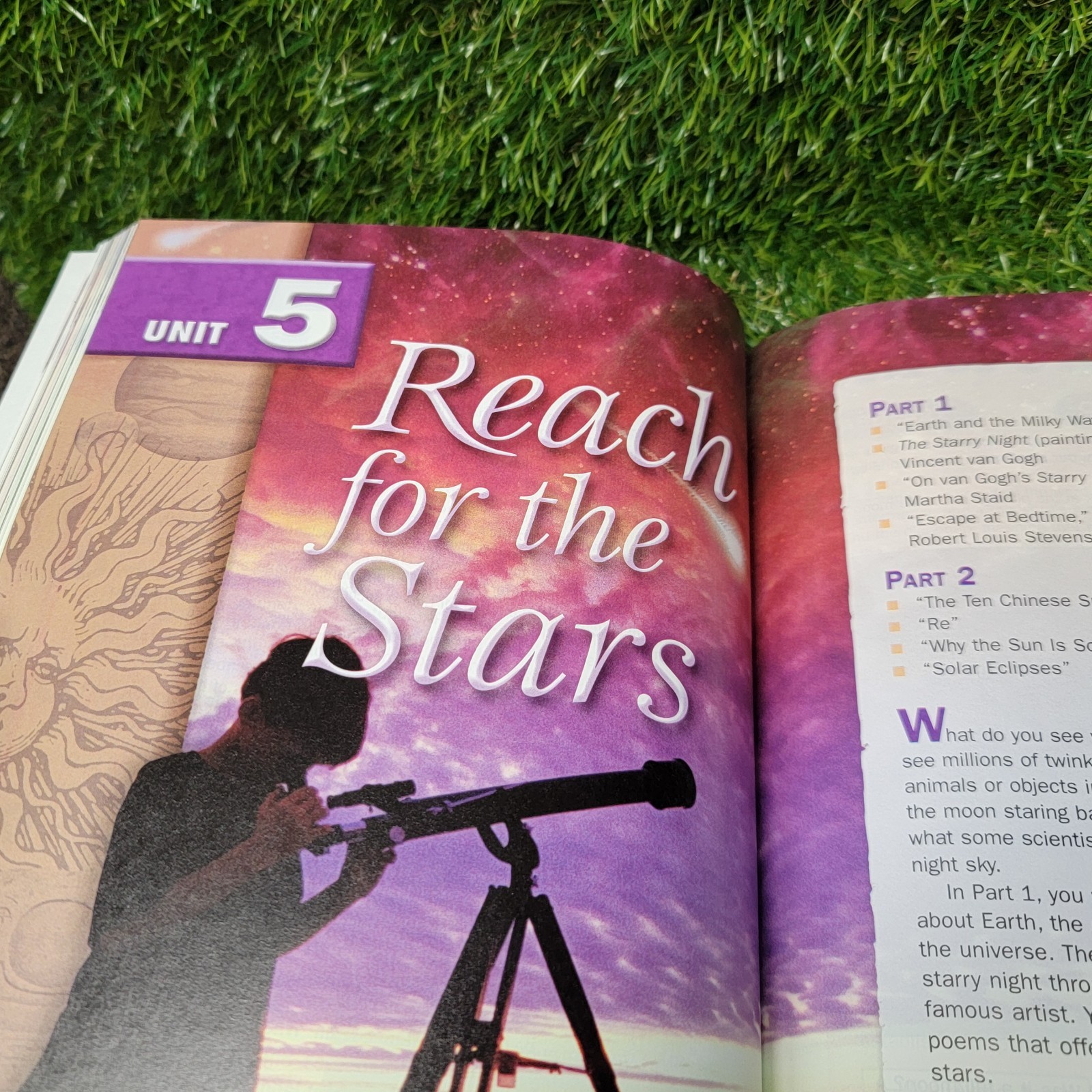Shining Star by Pamela Hartmann, Anna Uhl Chamot, Jann Huizenga Book C