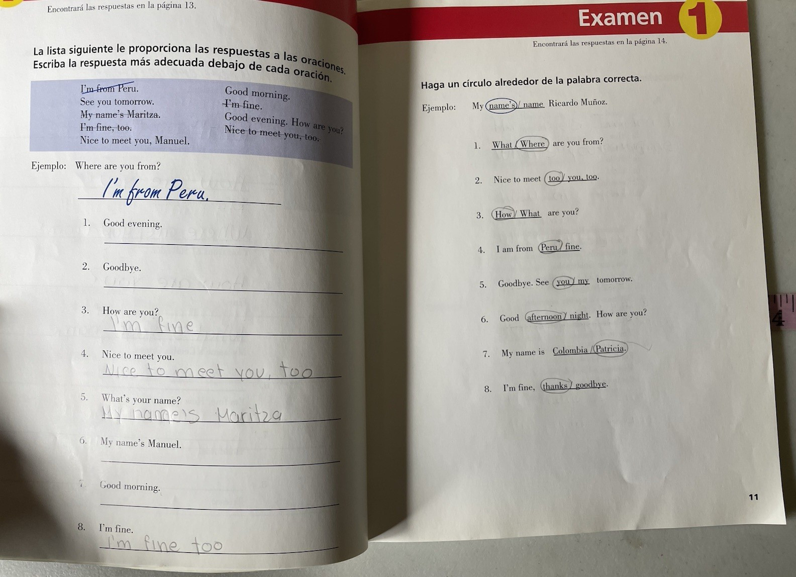Lot of 11 Ingles Sin Barreras El Video-Maestro Course Exercise Workbooks