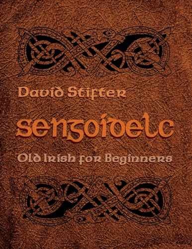 Sengoidelc: Old Irish For Beginners – Paperback, by Stifter David – Very Good