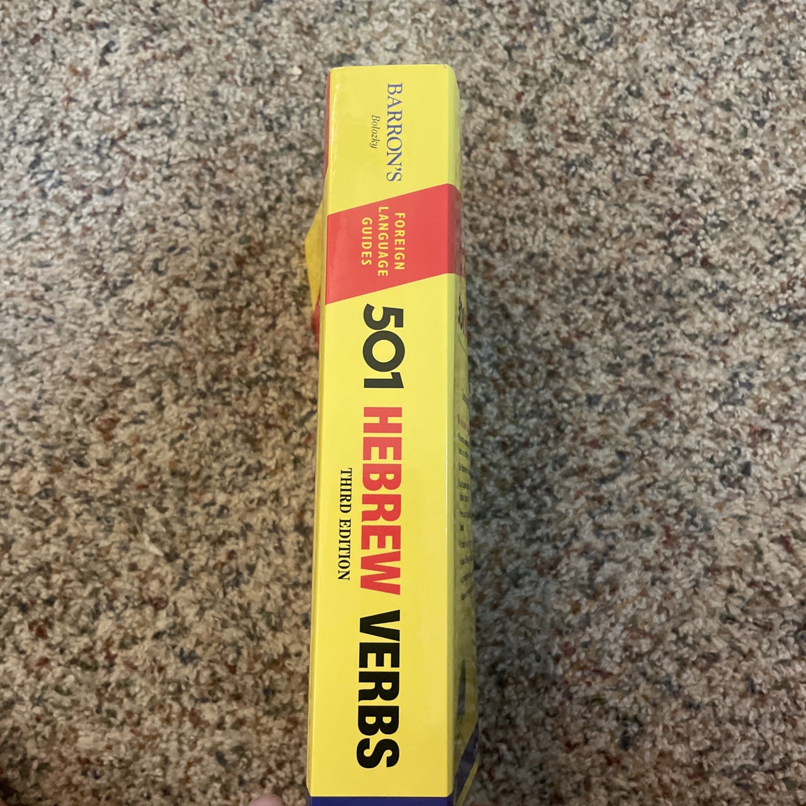 501 Hebrew Verbs by Bolozky, Shmuel