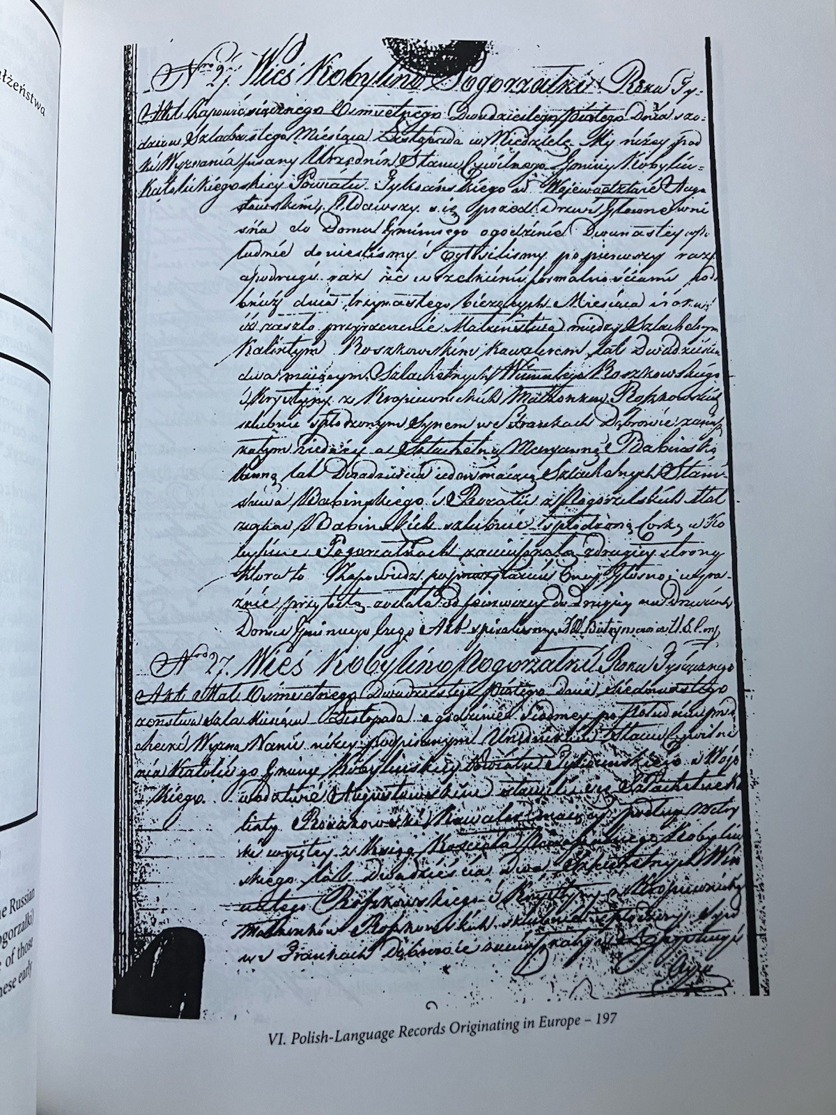 In Their Words: A Genealogist’s Translation Guide, Vol. 1: Polish