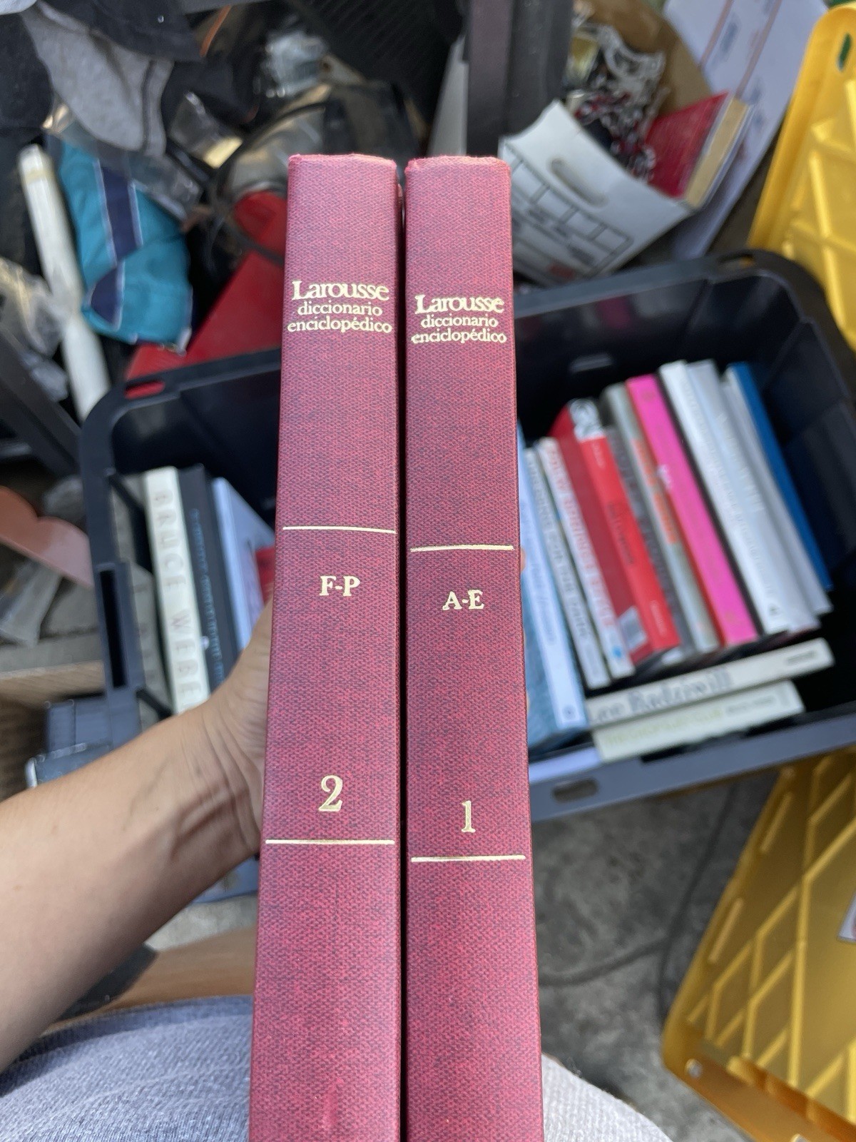 Di Larousse Diccionario Enciclopédico Ilustrado 2 Tomos (Usado