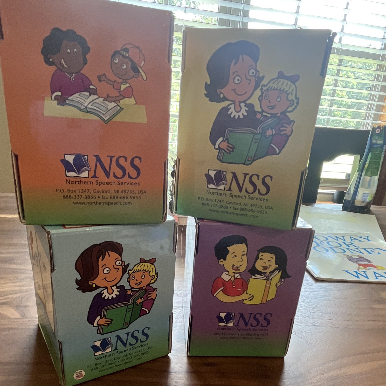 Northern Speech Services Literacy Speaks! Kits 1-4 Flashcards Audio CD Box Set
