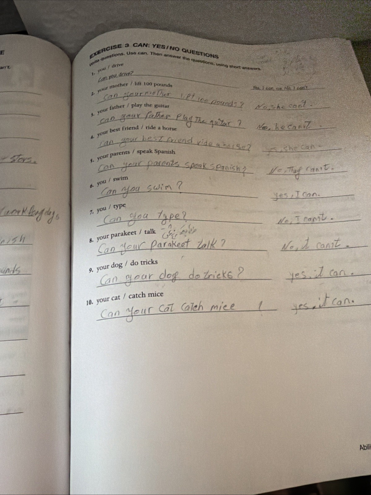 Focus on Grammar 2 Workbook, Schoenberg, Irene