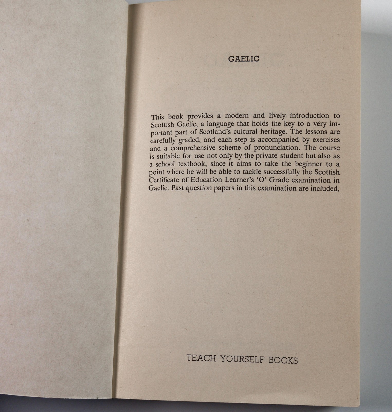 Teach Yourself Gaelic by Roderick MacKinnon 1988 Hodder Stoughton Language Book