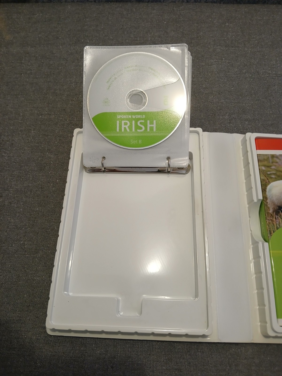 Spoken World: Irish (Book & 6 CDs) by Living Language Staff – 2009 – 304 pages