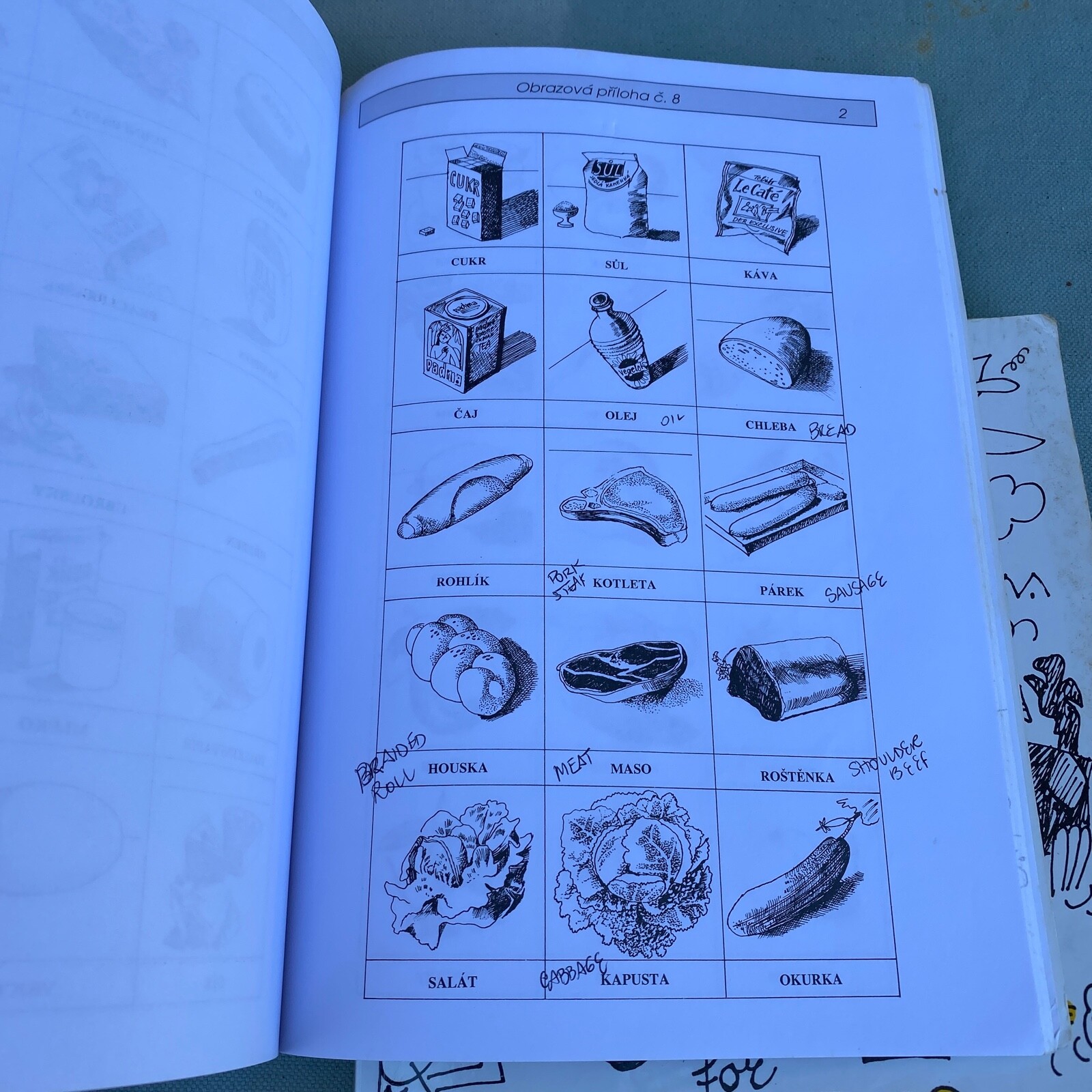 Hallo Czech for Foreigners Book No Cassette English Language Study Guide OneBook