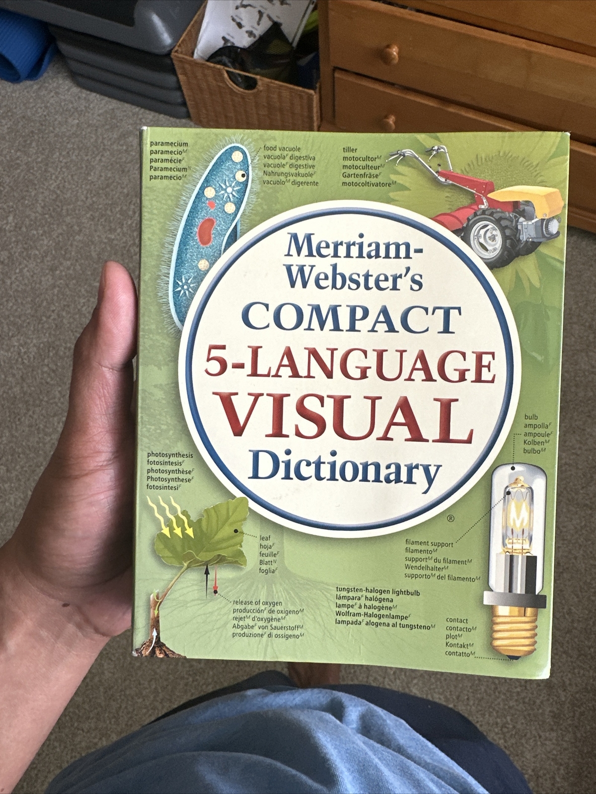 Merriam-Webster’s Compact Five-Language Visual Dictionary by Inc….
