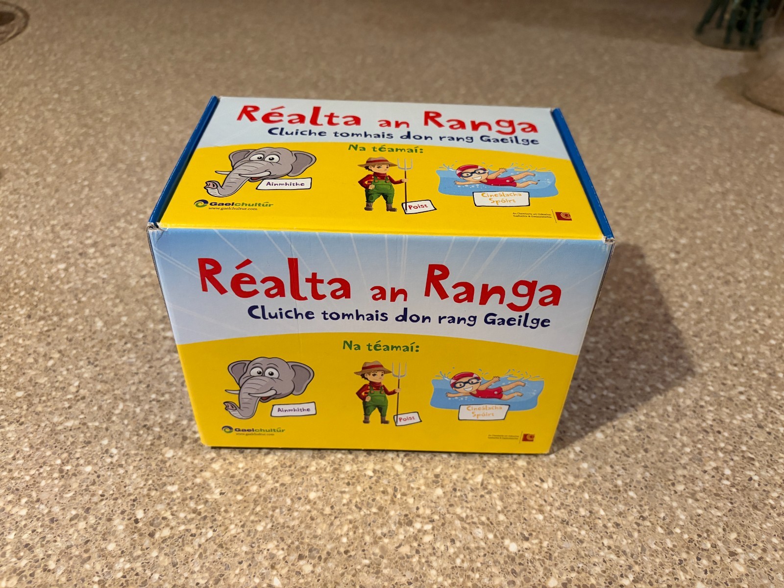 Realta an Ran Gaelic Language Study Cards (Language Flash Cards)